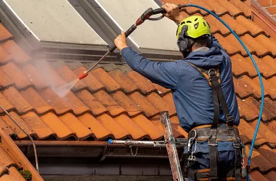 Démoussage et hydrofuge de toiture au Vézier